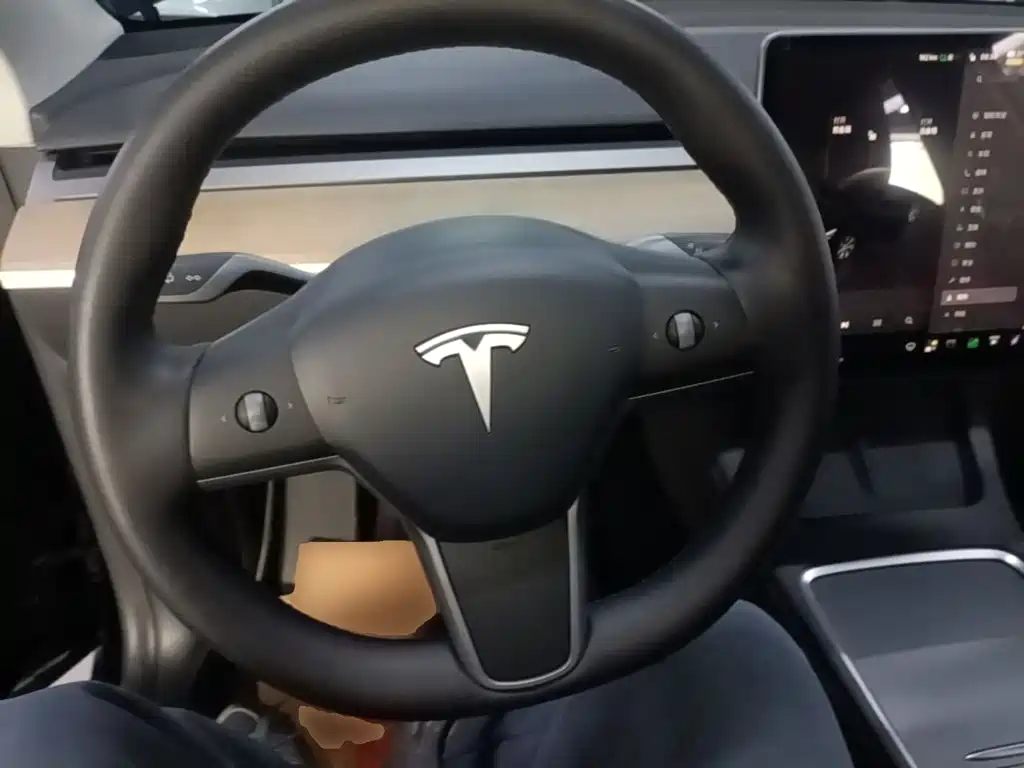 Tesla Model Y — миниатюра 11
