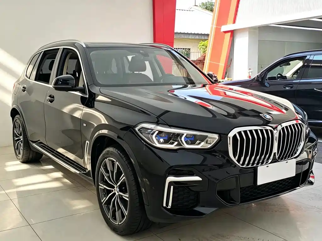 BMW X5 — миниатюра 3