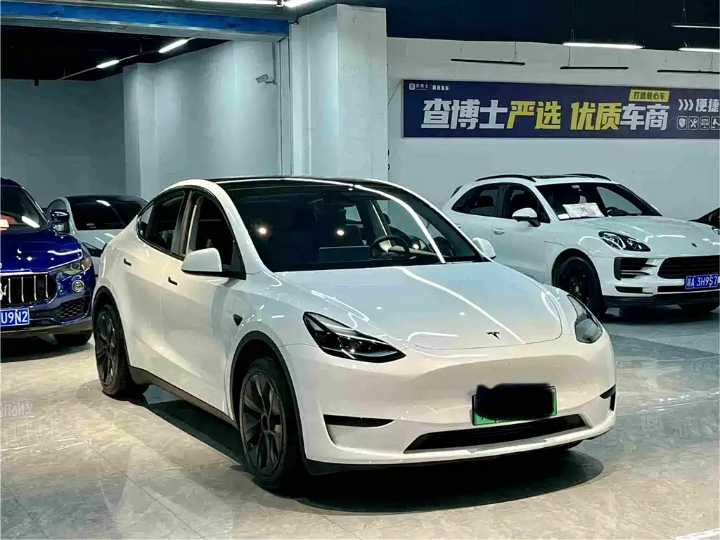 Tesla Model Y — миниатюра 3