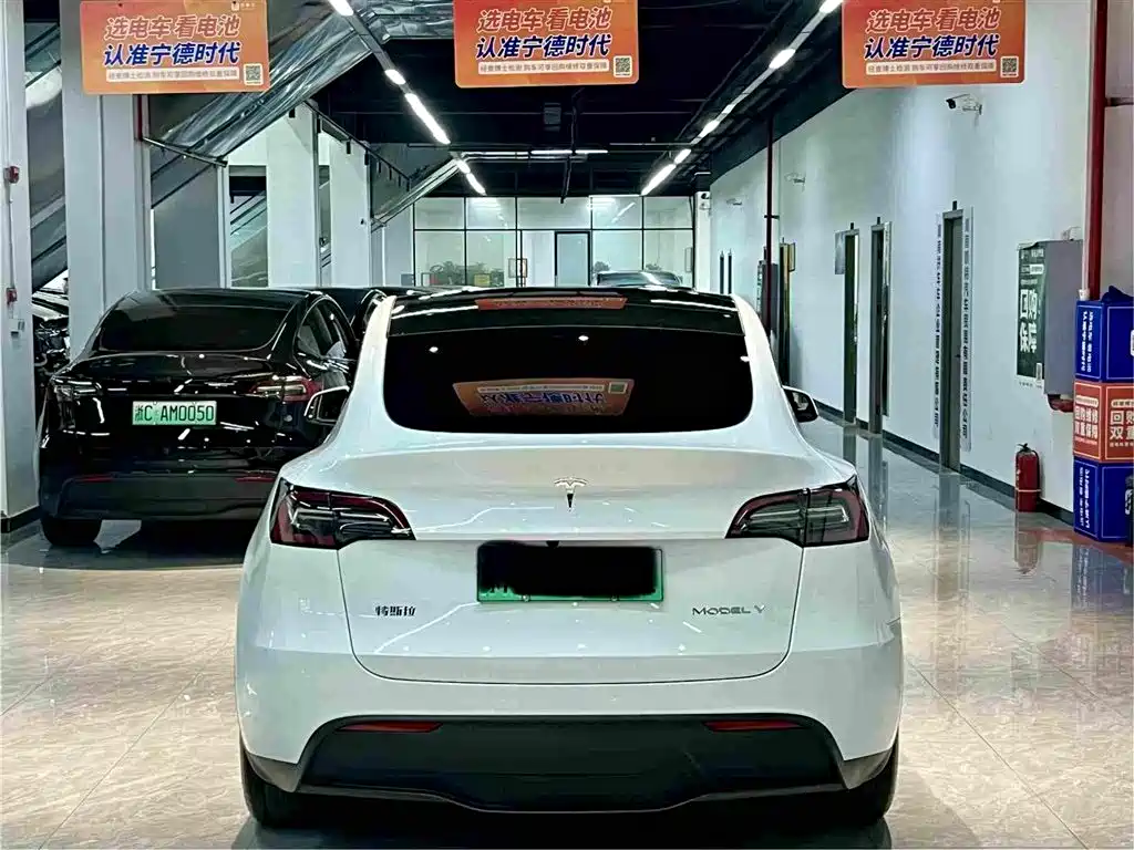 Tesla Model Y — миниатюра 10