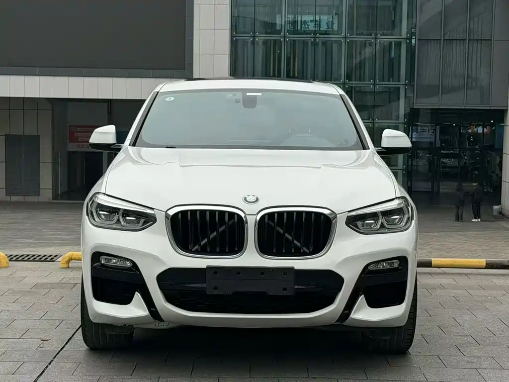 BMW X4 — миниатюра 2