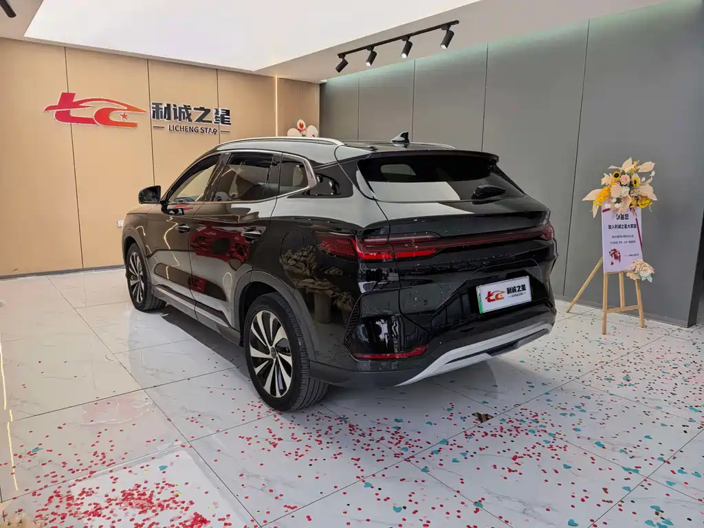 BYD PLUS New Energy — миниатюра 4