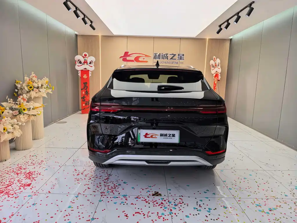 BYD PLUS New Energy — миниатюра 5