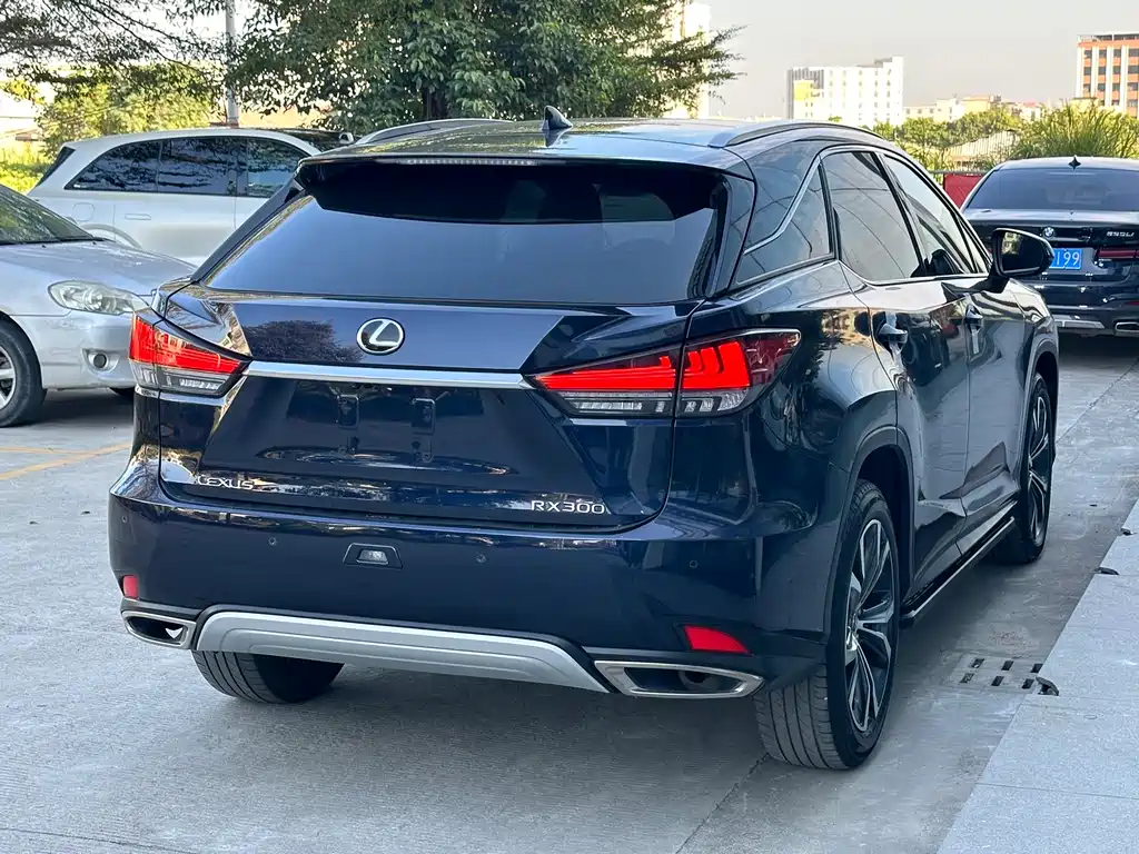 LEXUS RX