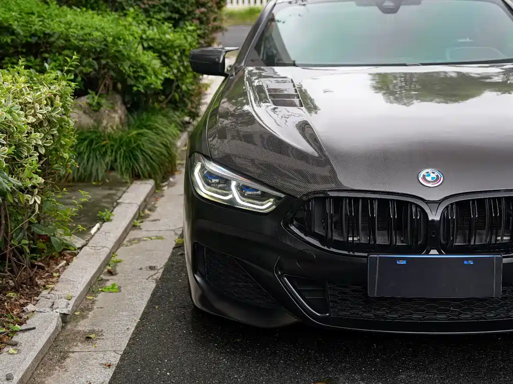 BMW 8 Series — миниатюра 5