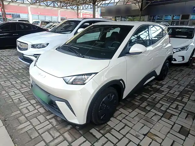 2024 BYD Seagull