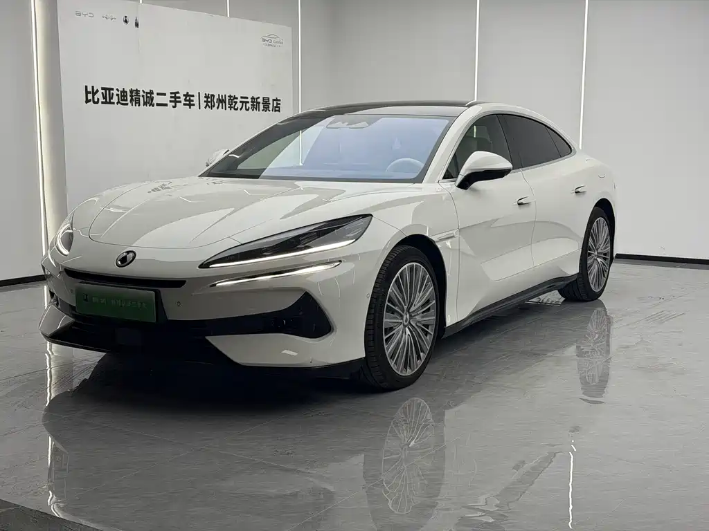 Denza Denza Z9