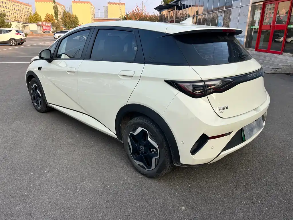 BYD Dolphin — миниатюра 10