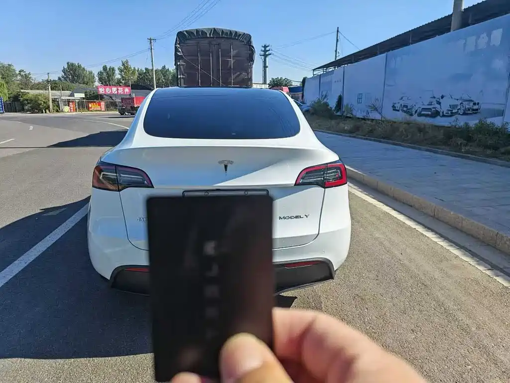 Tesla Model Y — миниатюра 13