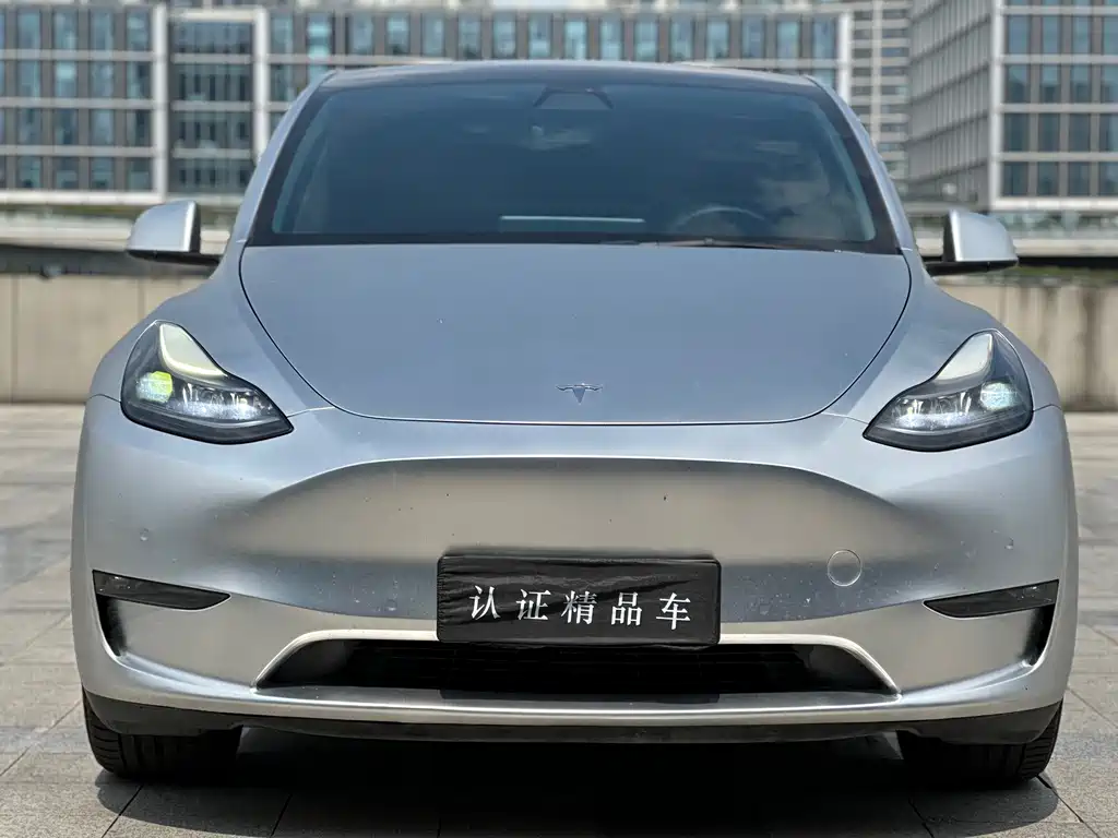 Tesla Model Y — миниатюра 2