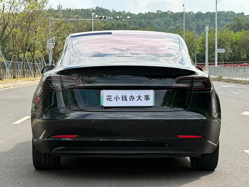 Tesla Model 3 — миниатюра 7