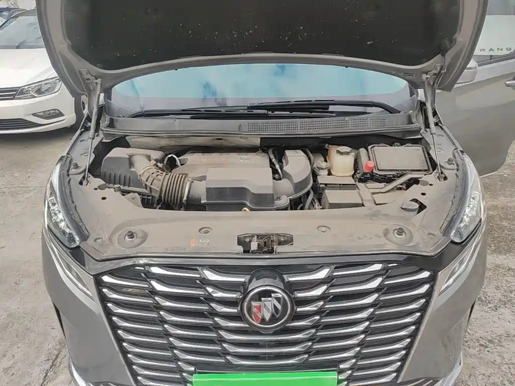Buick GL8 — миниатюра 20