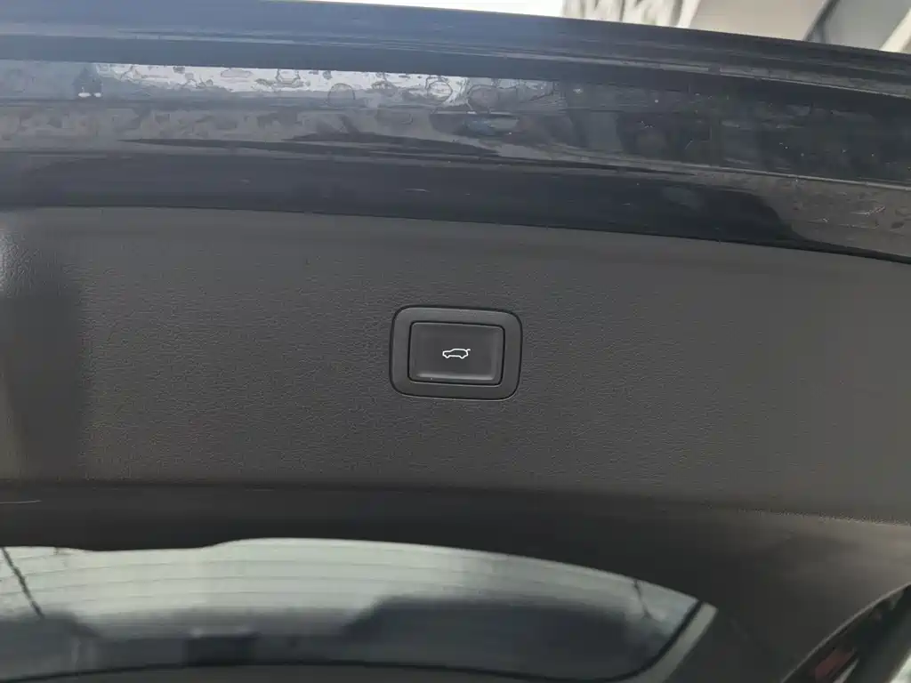 Hongqi HONGQI HS7 PHEV