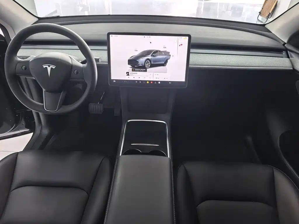 Tesla Model Y — миниатюра 6