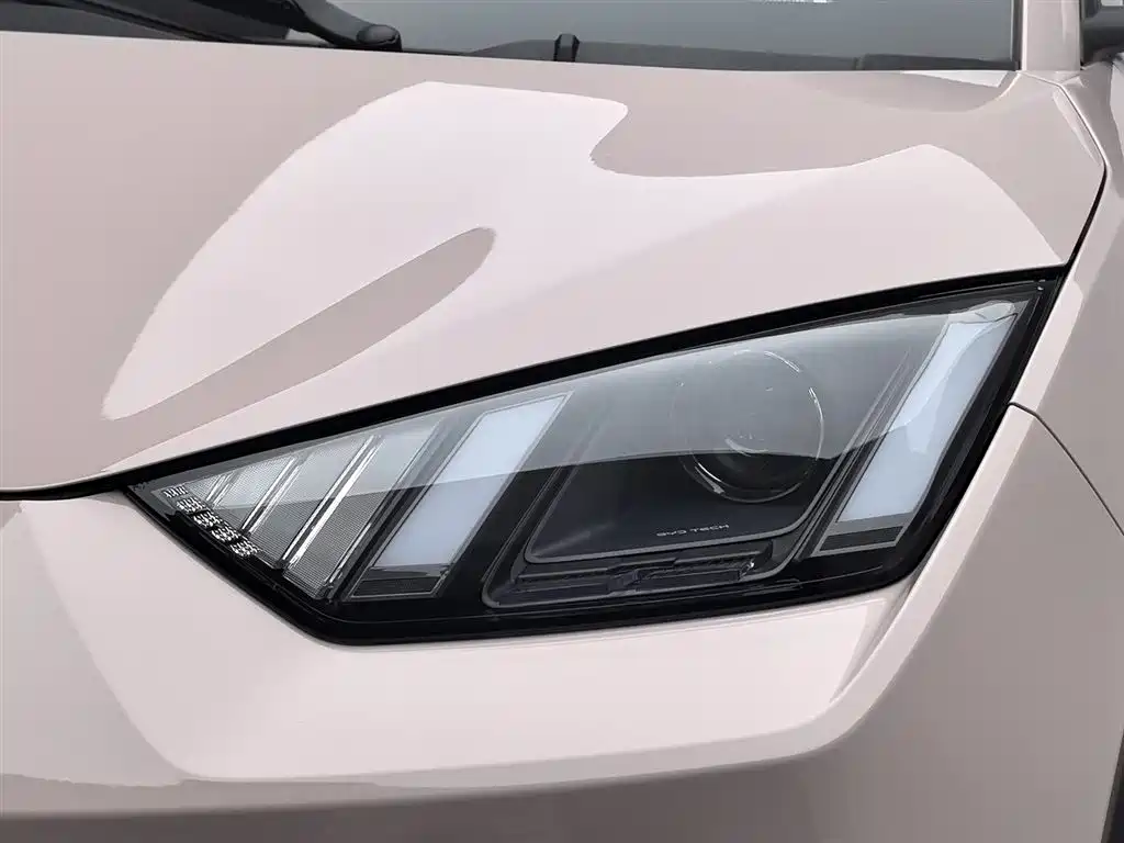 BYD Seagull 2025 305km