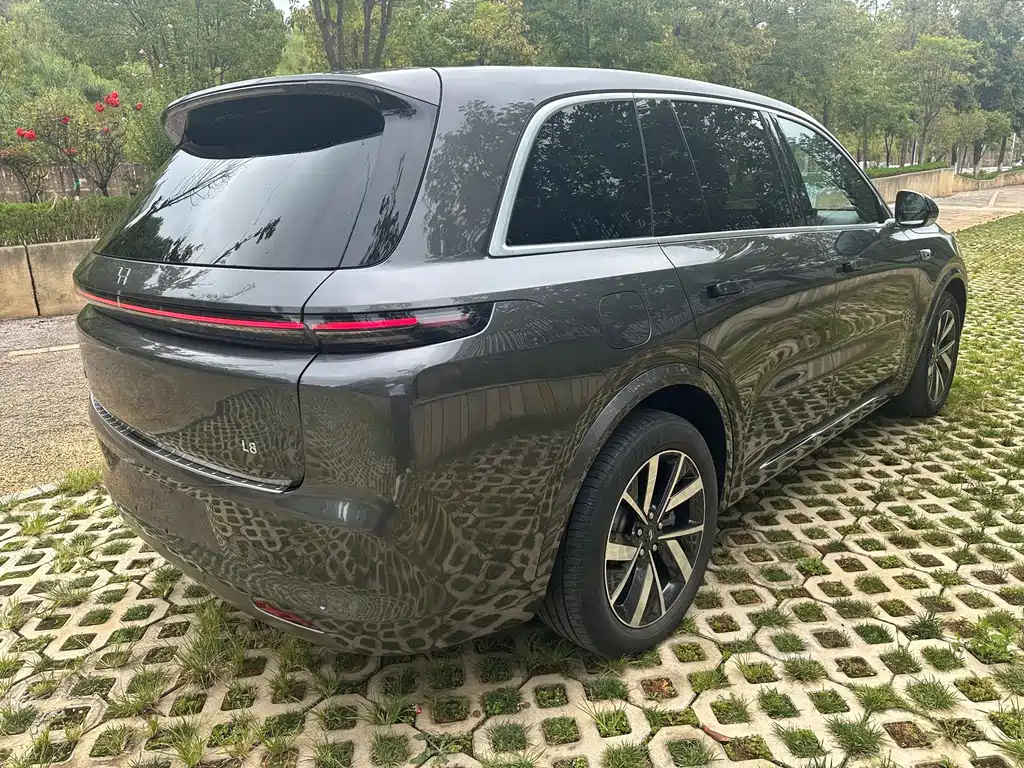 Li Auto Li L8 — миниатюра 11