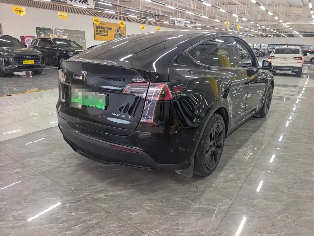 Tesla Model Y — миниатюра 2