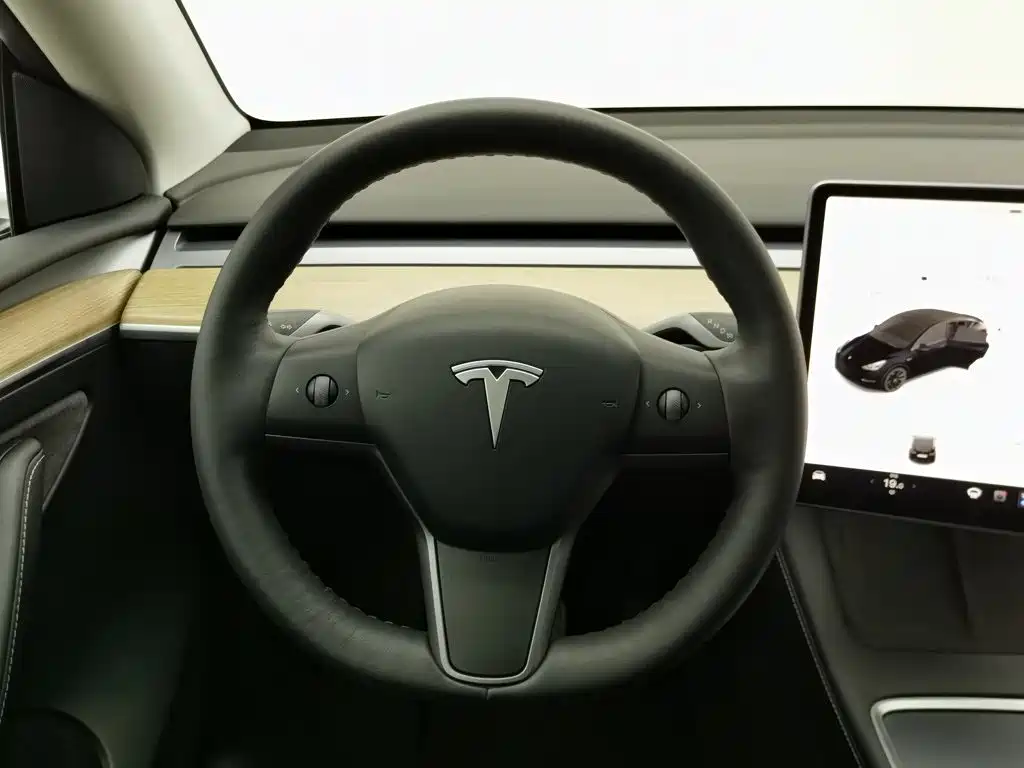 Tesla Model Y — миниатюра 11