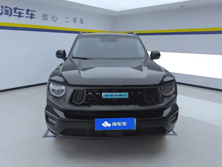 Haval Плюс новая энергия. — миниатюра 2
