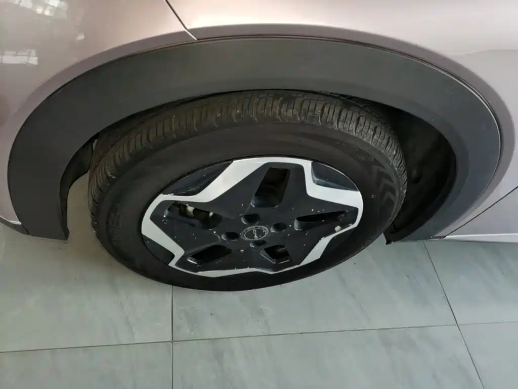 BYD Dolphin — миниатюра 23