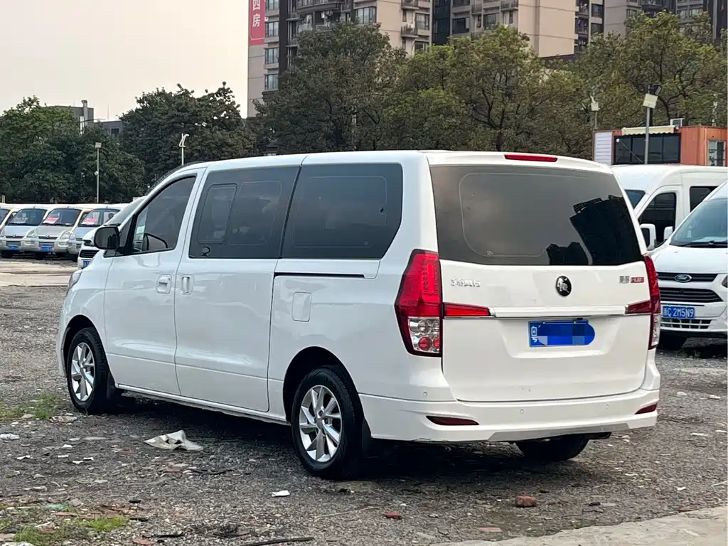 Forthing Lingzhi Plus PLUS 2024 1.5T MT Luxury 9 мест