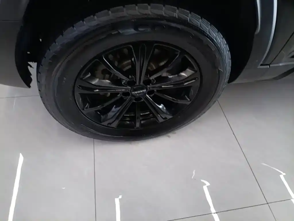 Haval Menglong New Energy — миниатюра 23