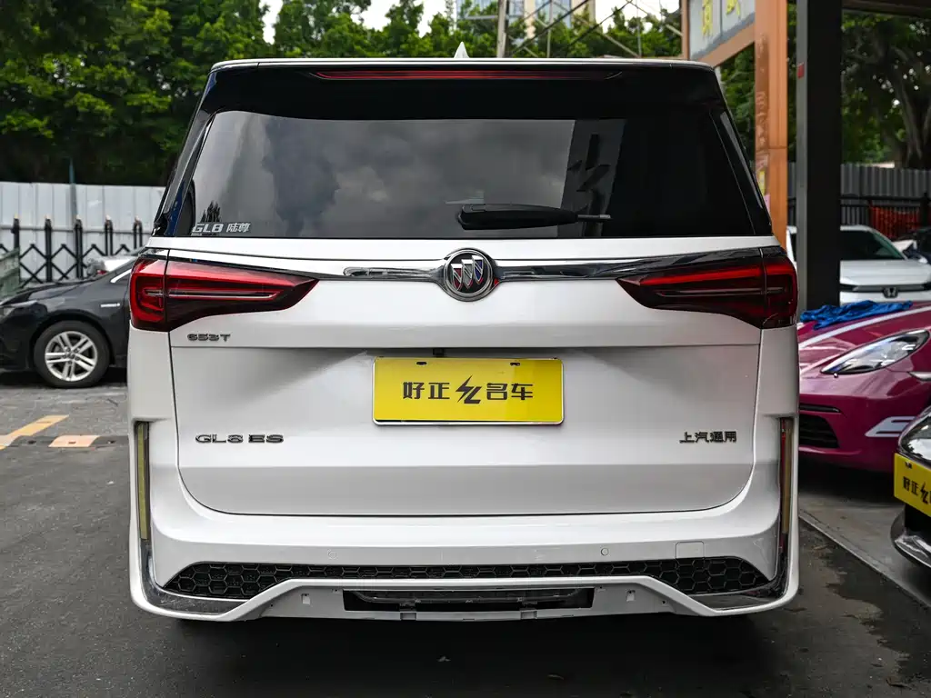 Buick GL8 ES LandKing 653T Premium Type, фото 5