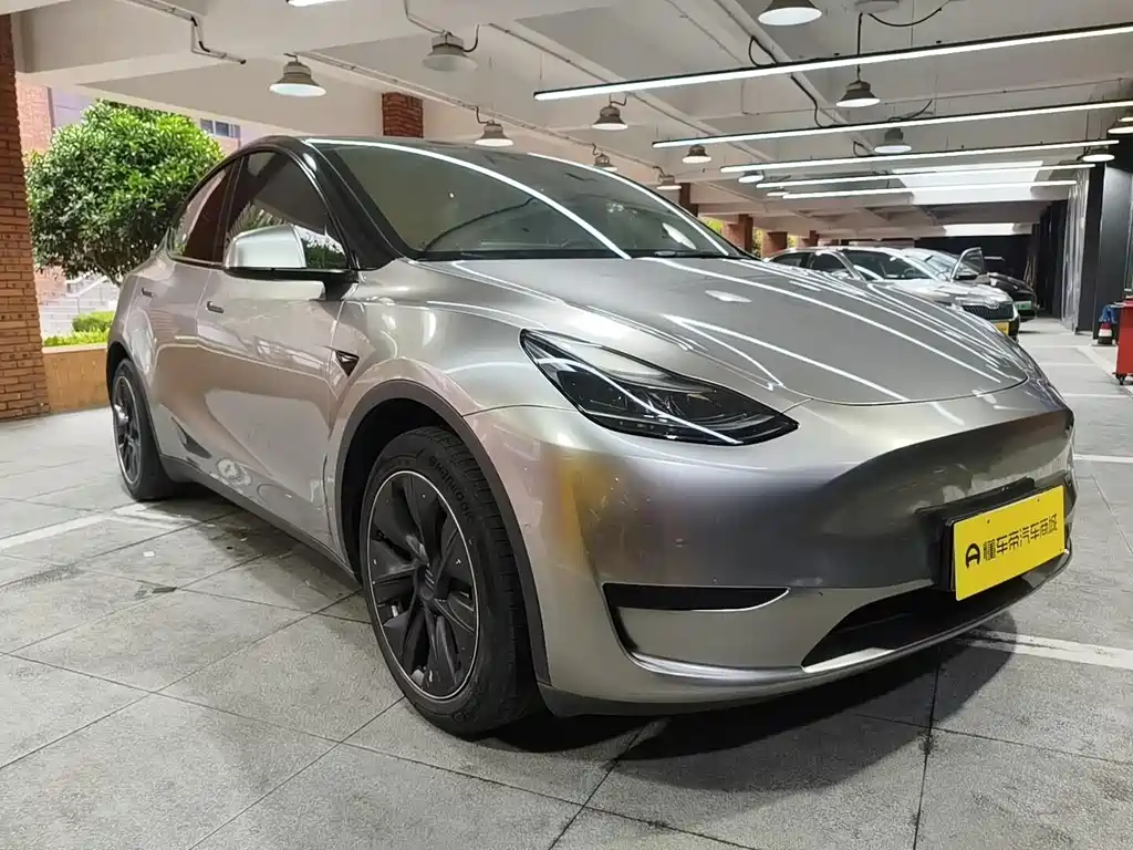 Tesla Model Y — миниатюра 6