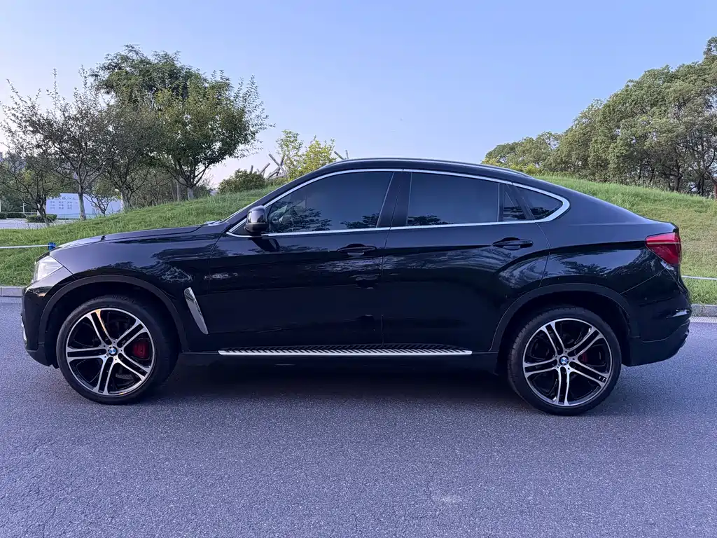 BMW X6 — миниатюра 7