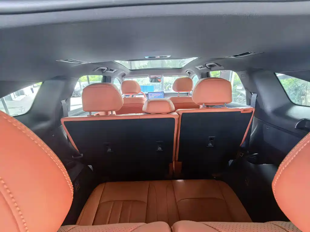 BYD Дон Л. — миниатюра 15