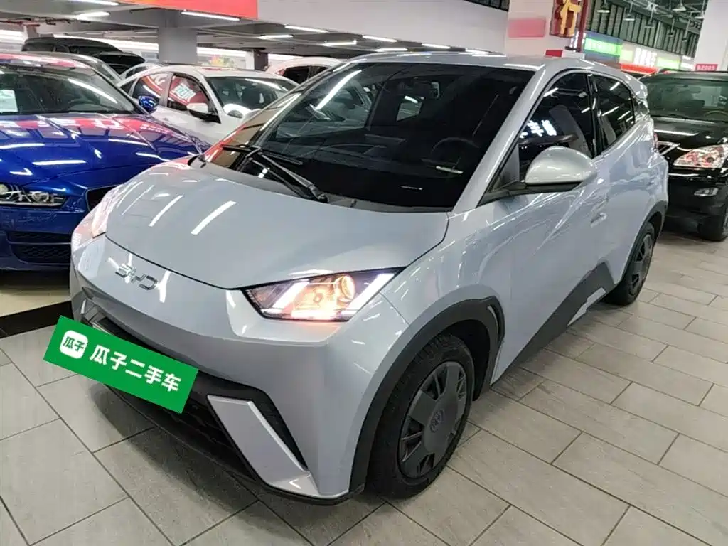 Byd Seagull 2024