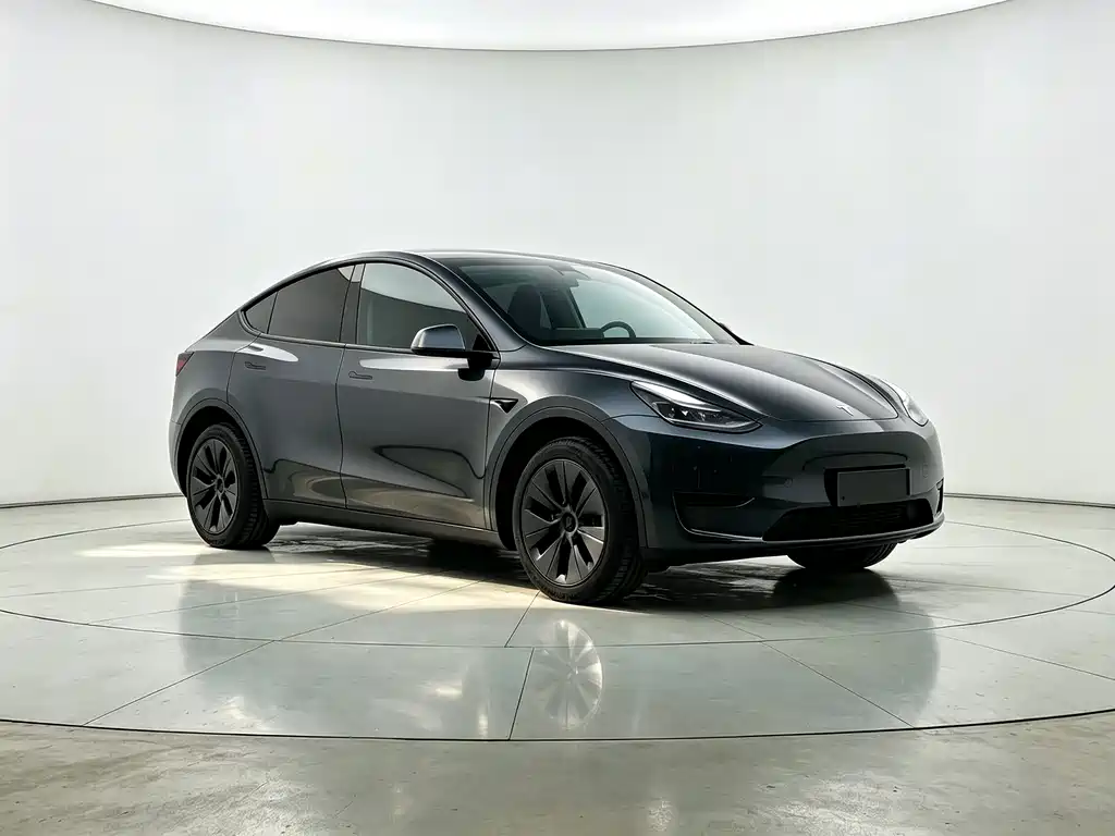 Tesla Model Y — миниатюра 3