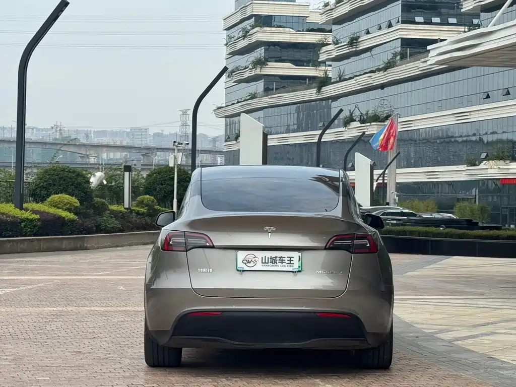 Tesla Model Y — миниатюра 14