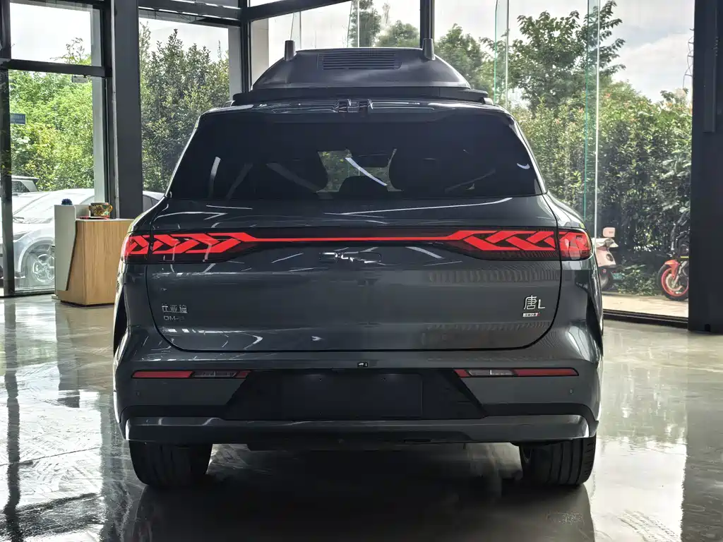 BYD Дон Л. — миниатюра 12