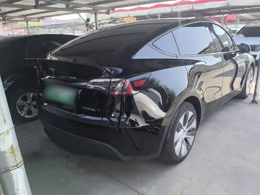 Tesla Model Y — миниатюра 7