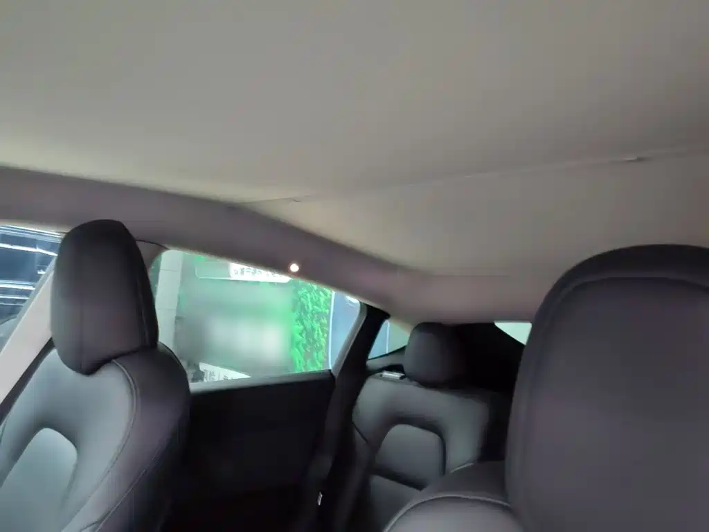 Tesla Model Y — миниатюра 18