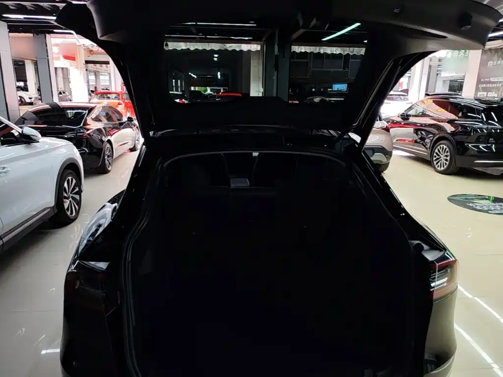 Tesla Model Y — миниатюра 19