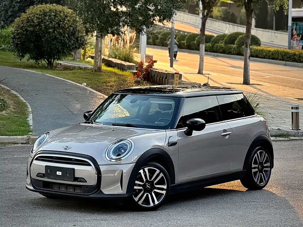 Mini Mini 2021