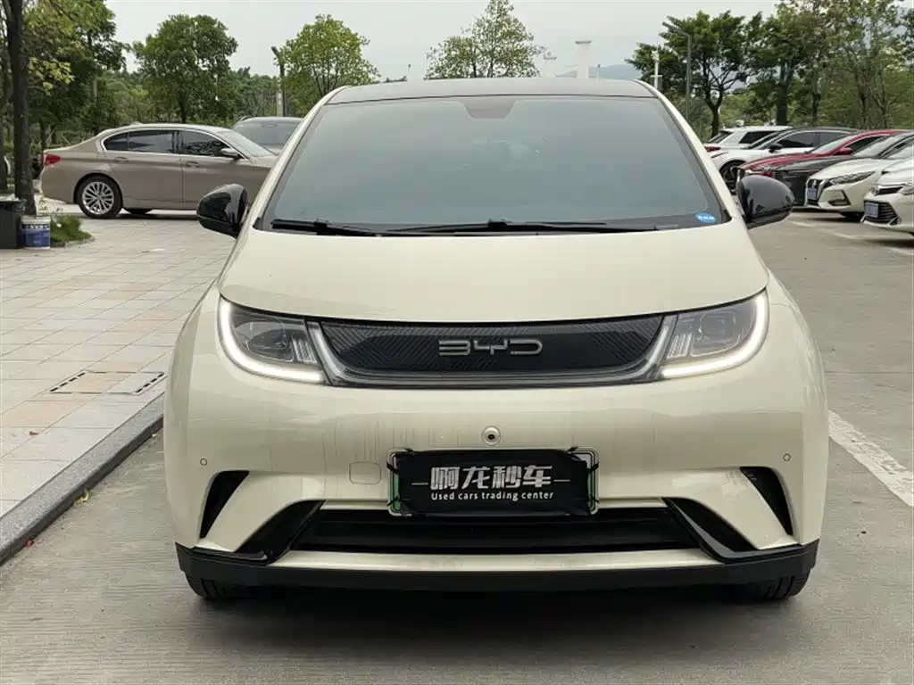 BYD Dolphin — миниатюра 2