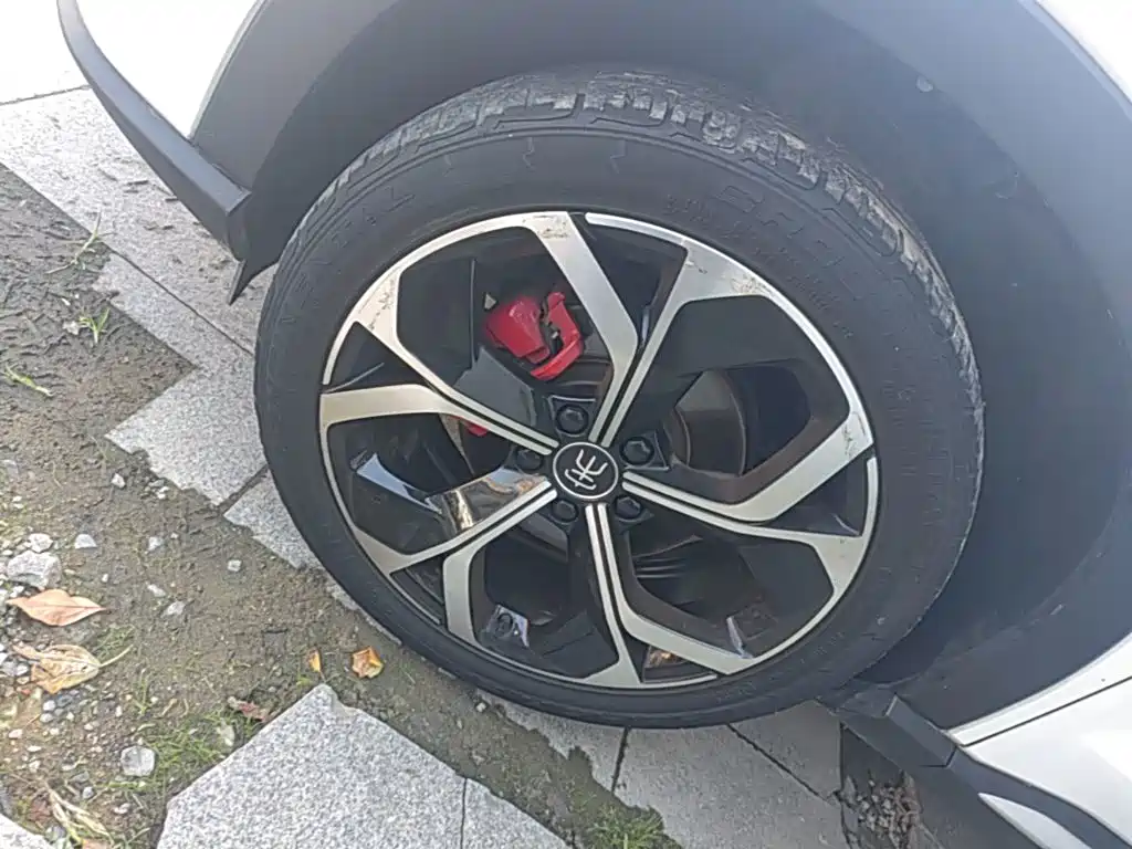 BYD PLUS — миниатюра 23