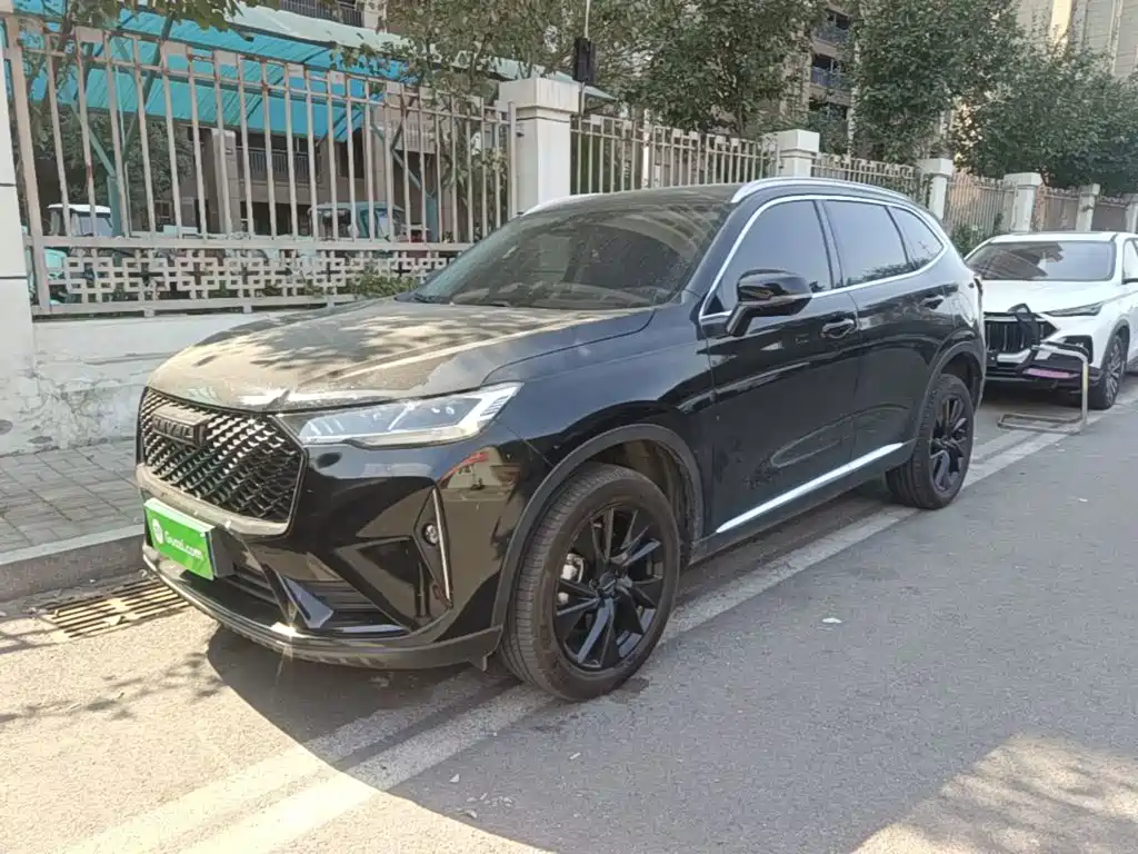 Haval H6 — миниатюра 2
