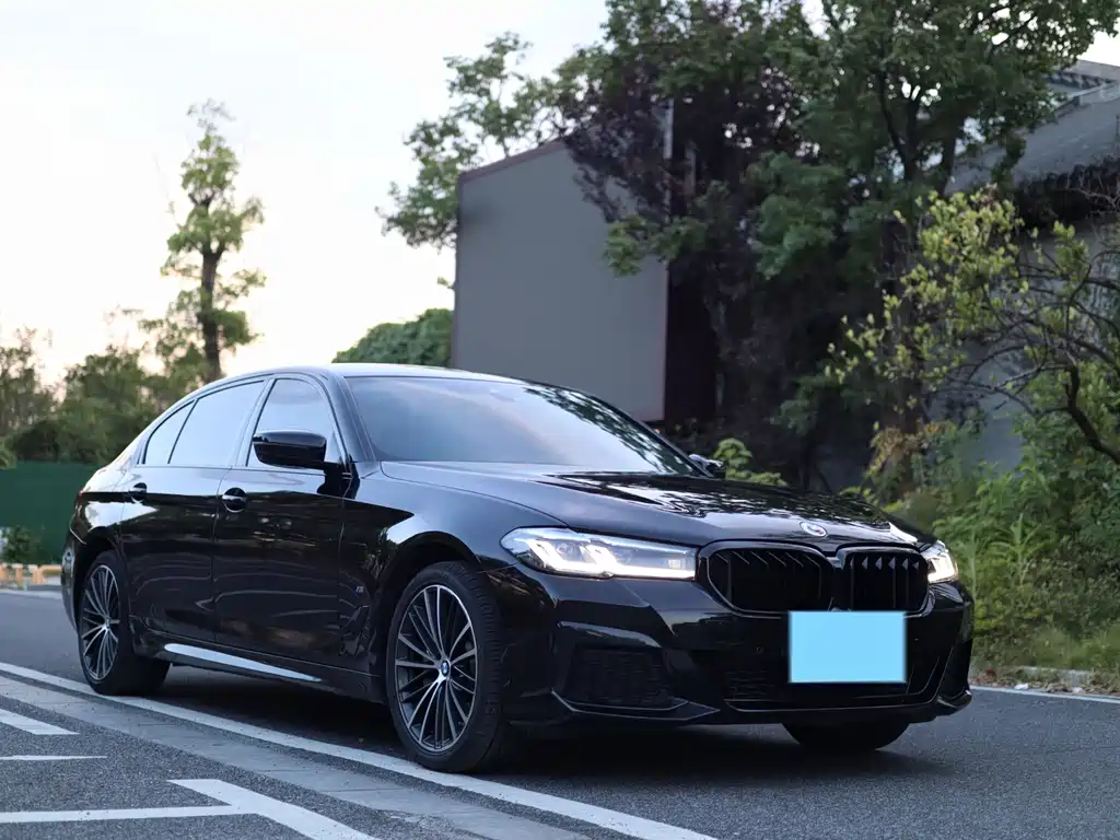 BMW 5 Series — миниатюра 2