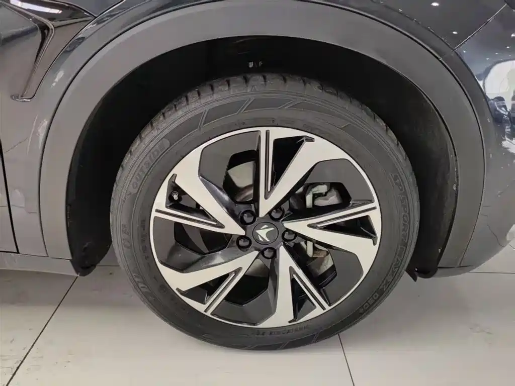 ARCFOX EXTREME FOX POLAR FOX ALPHA S