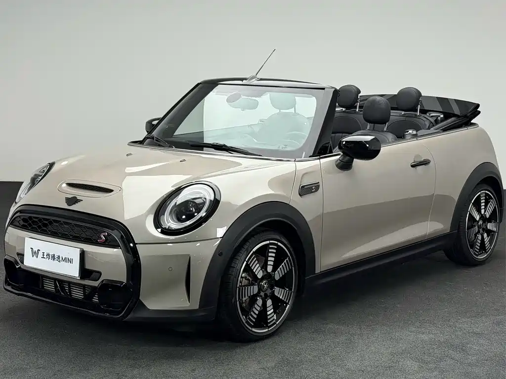 Mini Mini 2023