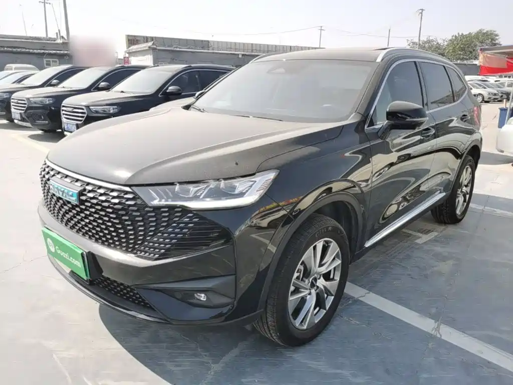 Haval H6 New Energy — миниатюра 2