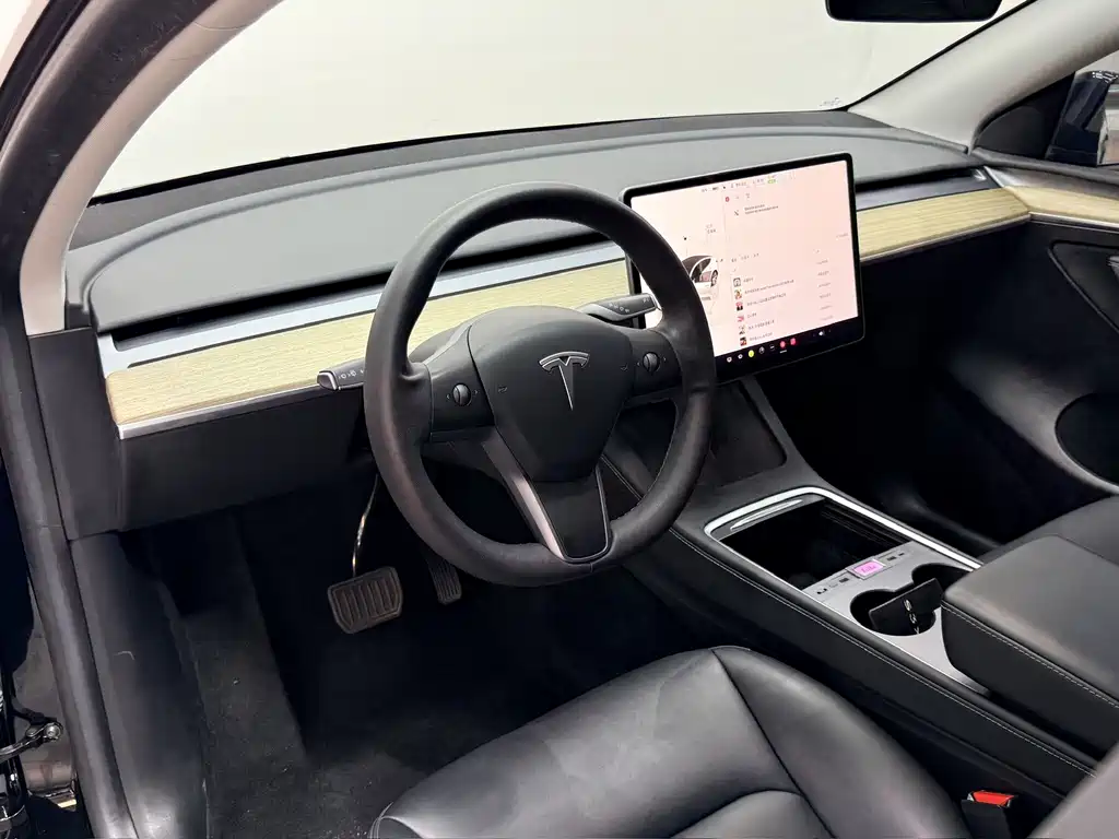Tesla Model Y — миниатюра 12
