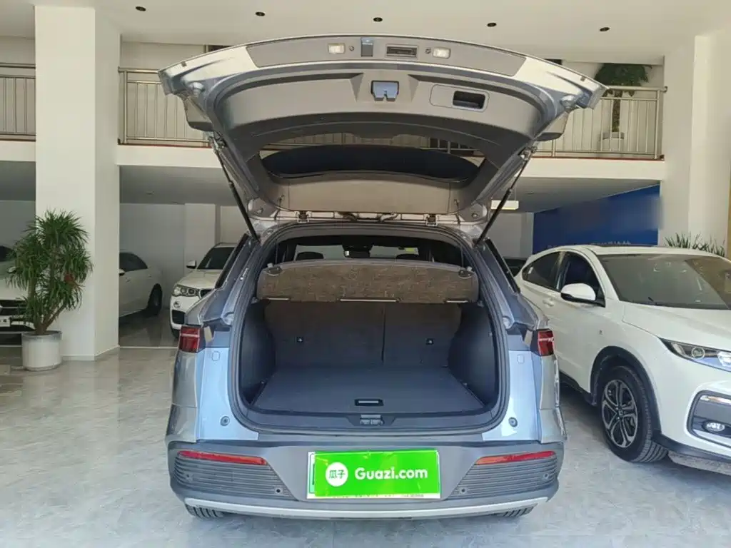BYD Pro New Energy — миниатюра 19