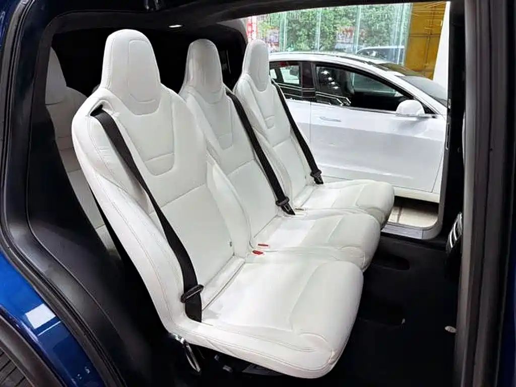 Tesla Model X — миниатюра 9