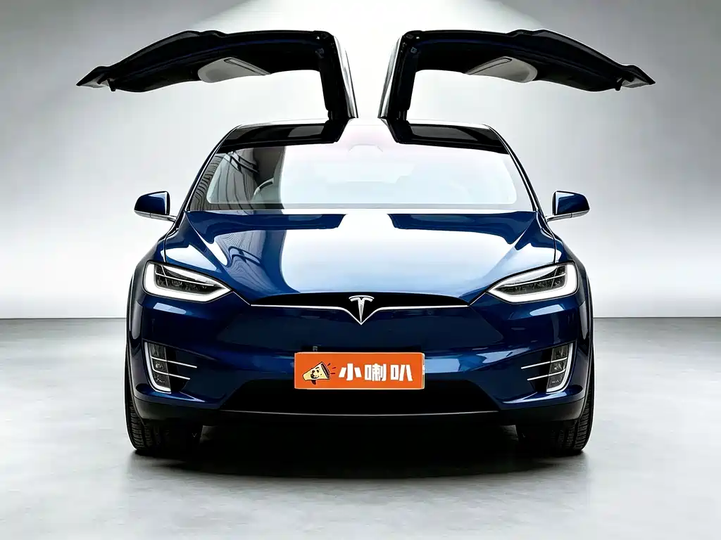Tesla Model X — миниатюра 2
