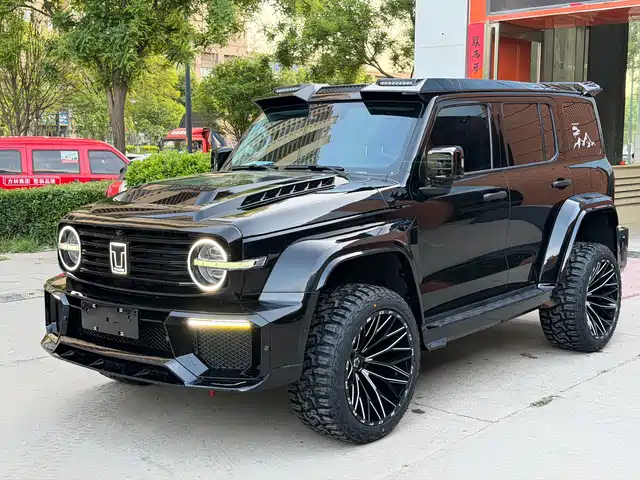2024 TANK 300